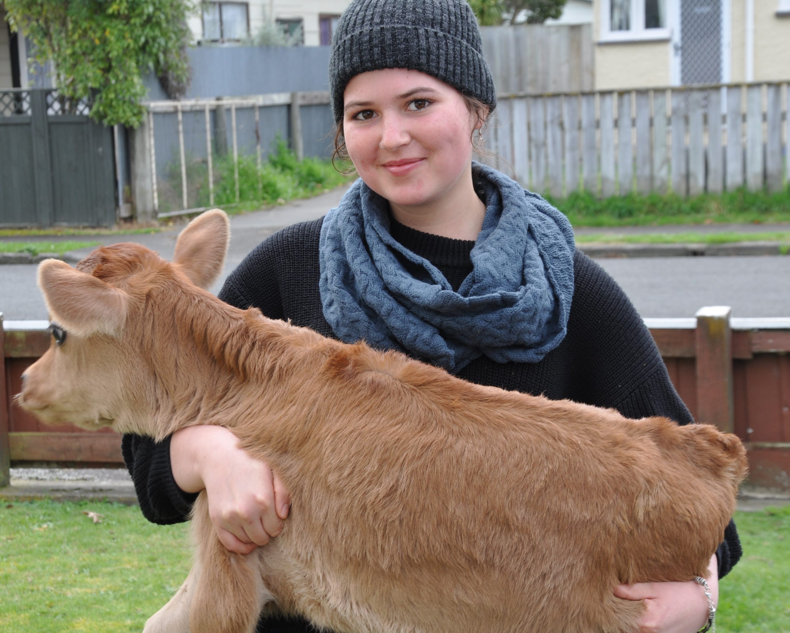 Dairying violates ‘The Five Freedoms’