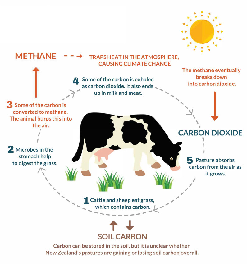 Meat Eating Is Stealing Our Future – Try the Plant-Based Challenge, by RainbowClaire Insley