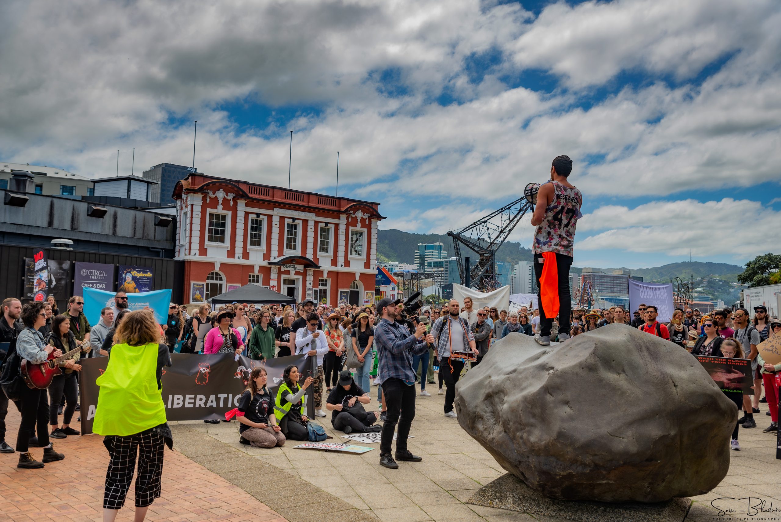 New Zealand The Only Country To March For Animals In The Year of Covid-19