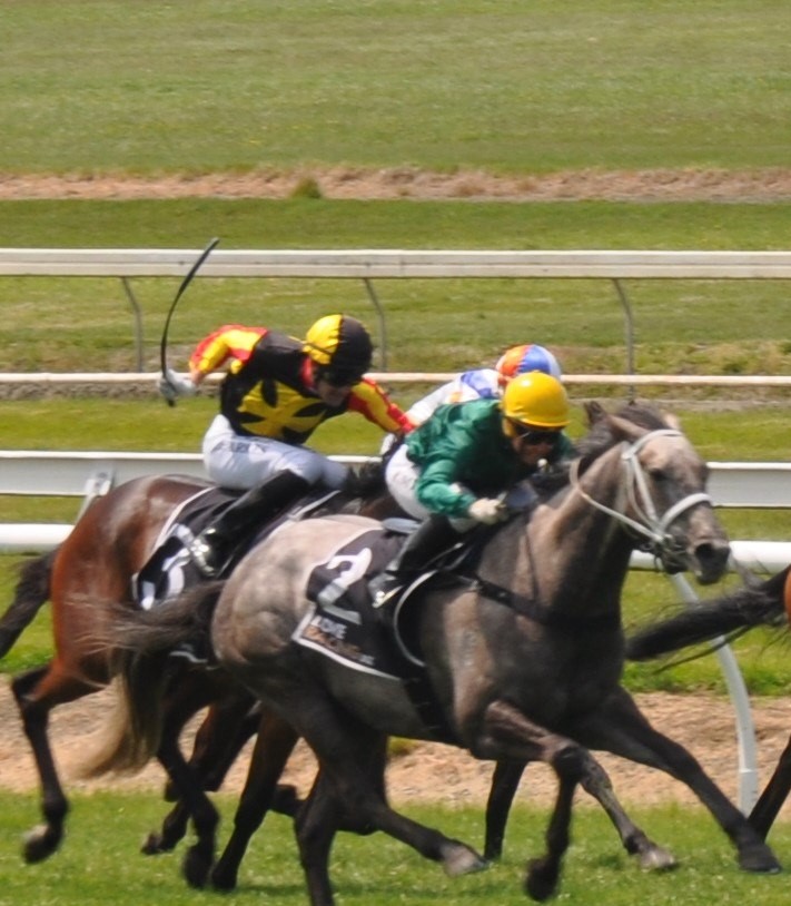 10 Reasons To Stop Whipping Racehorses