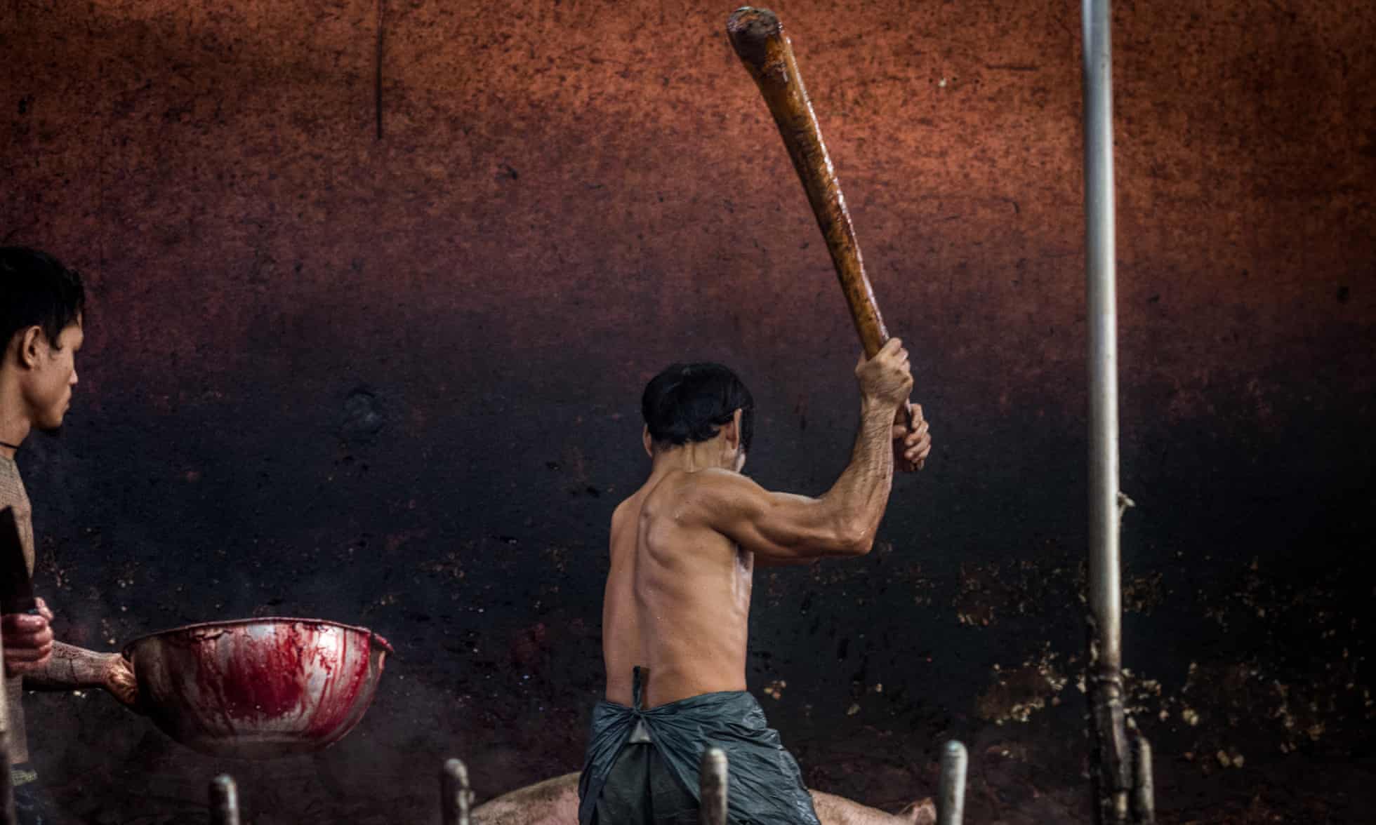 THAILAND’S SHAME IS TYPICAL OF SOUTH EAST ASIAN SLAUGHTERHOUSES