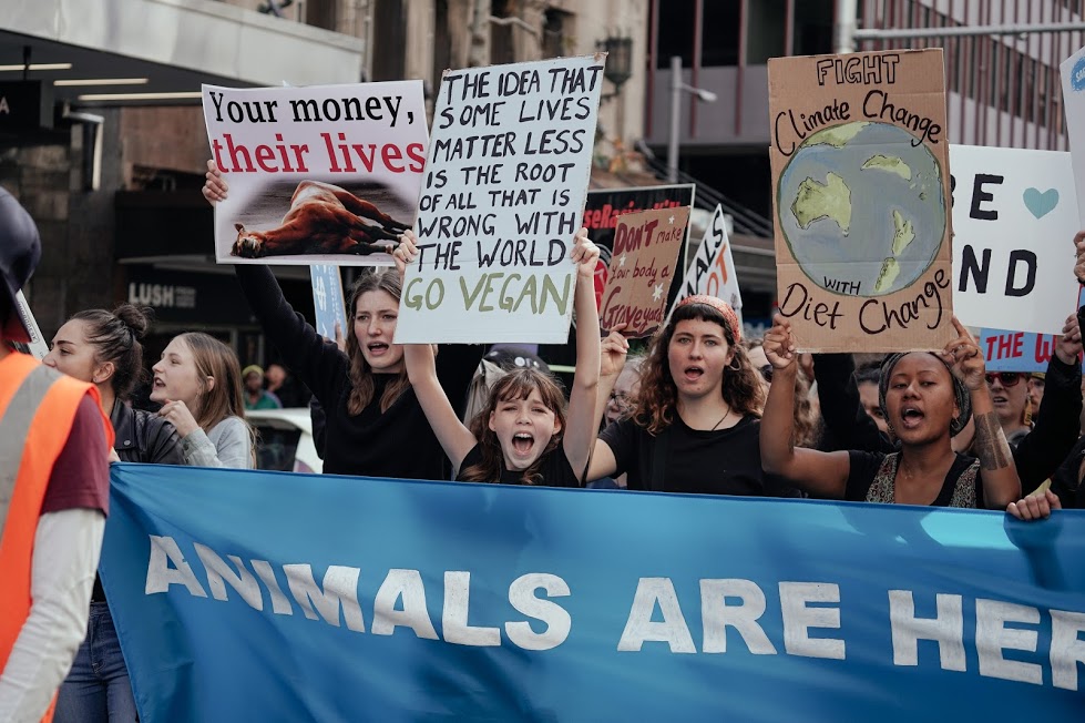 Social Change And The 3.5% Rule