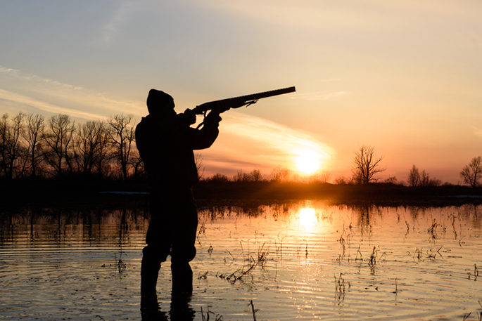 Duckshooting: Senseless Suffering, or Family Fun?