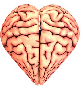 ‘The Adult Must Steer The Car’ – Reflections on the Ancient and Modern Brain