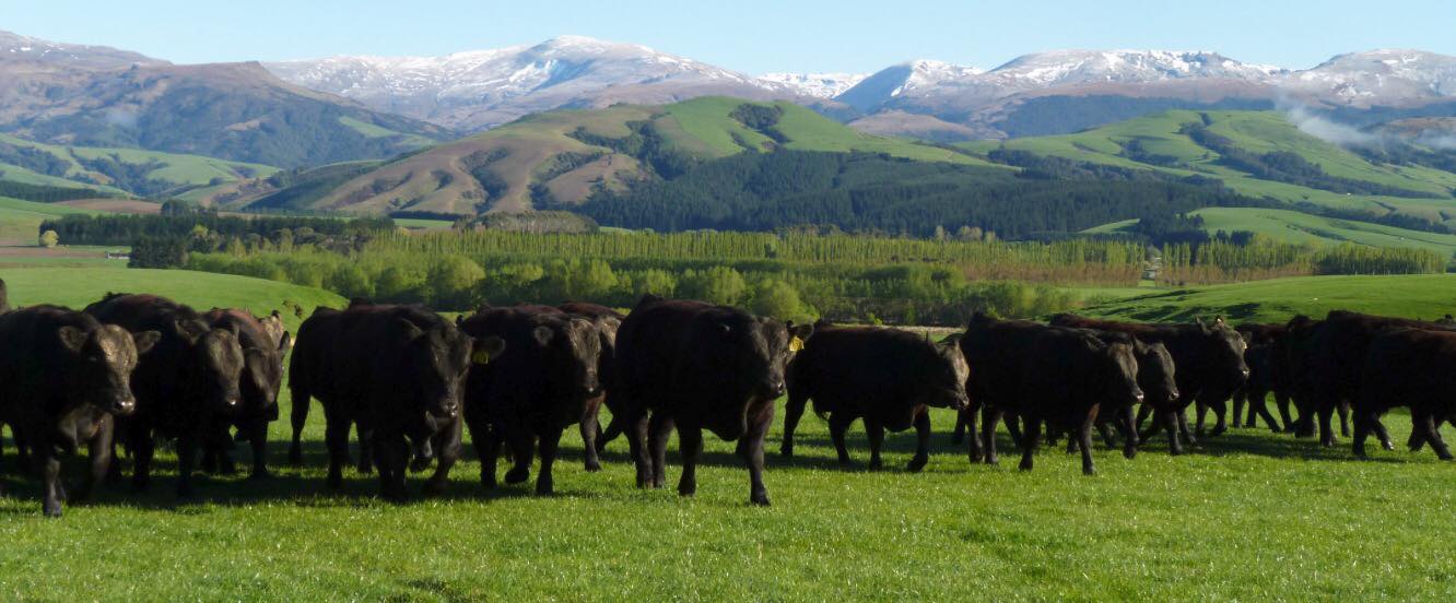 Veganism Increasingly Advocated To Mitigate Carbon Emissions