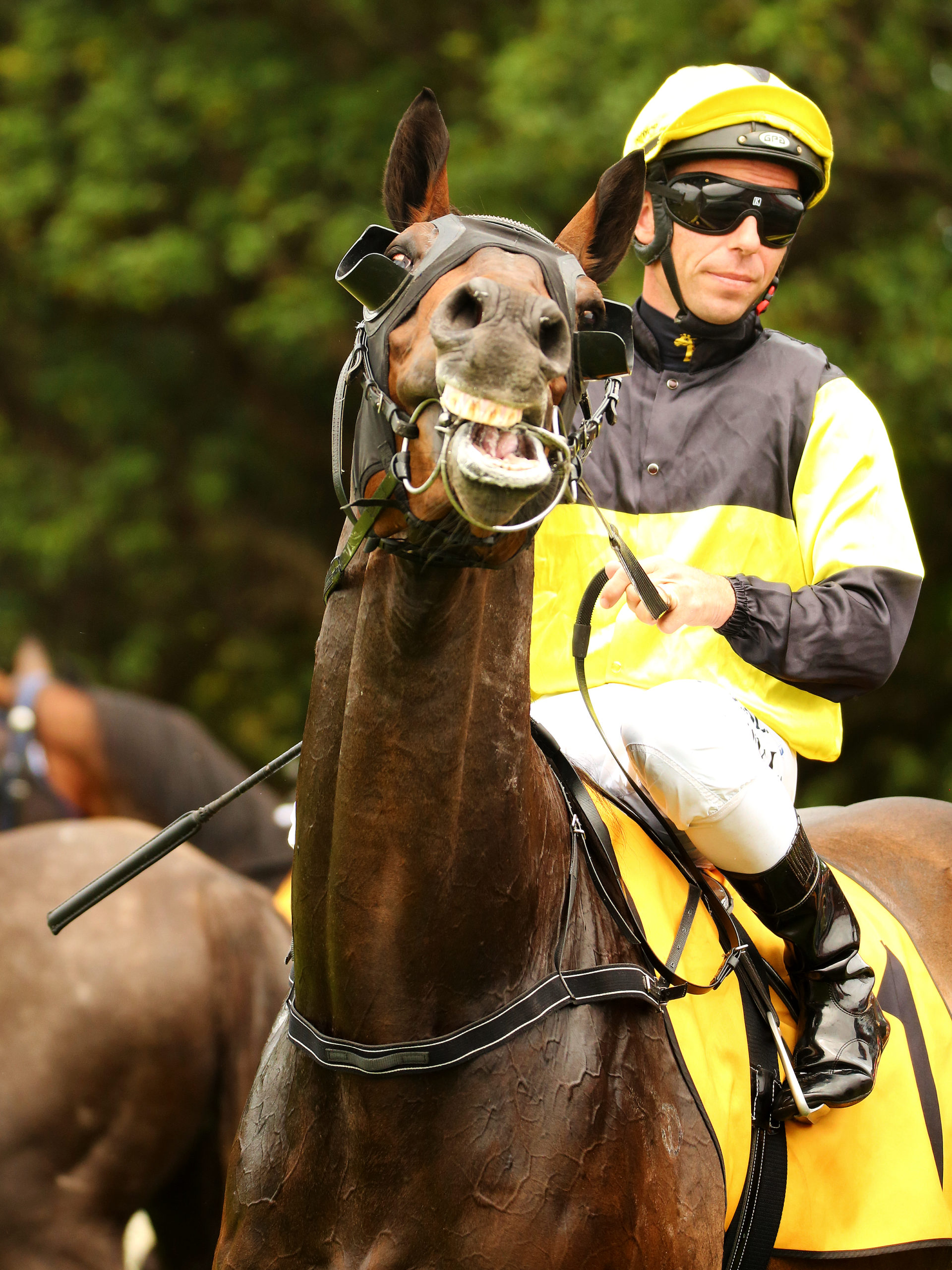 SUBMITTING TO PAIN – How The Bit Controls A Racehorse And Why It Is Cruel