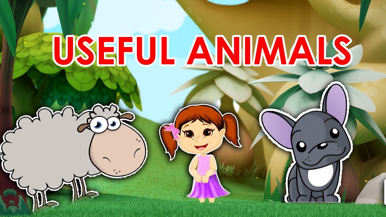 It’s time to change our anthropocentric attitude towards other creatures