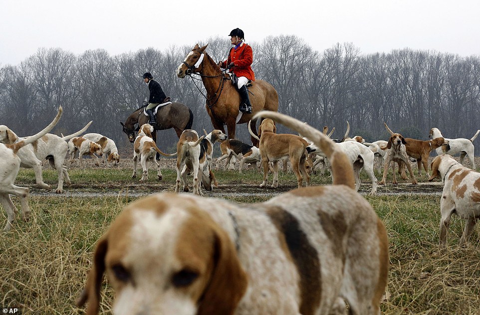 Hunting is Blood Lust in the Guise of Sport and Conservation