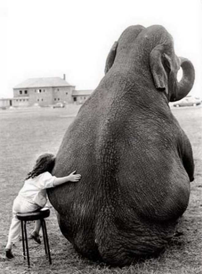 Connecting With Other Animals Acknowledges Our Kinship With Them