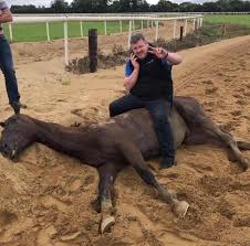 Behaviour Of Top Trainer and Jockey Damages Public Perception Of Horseracing