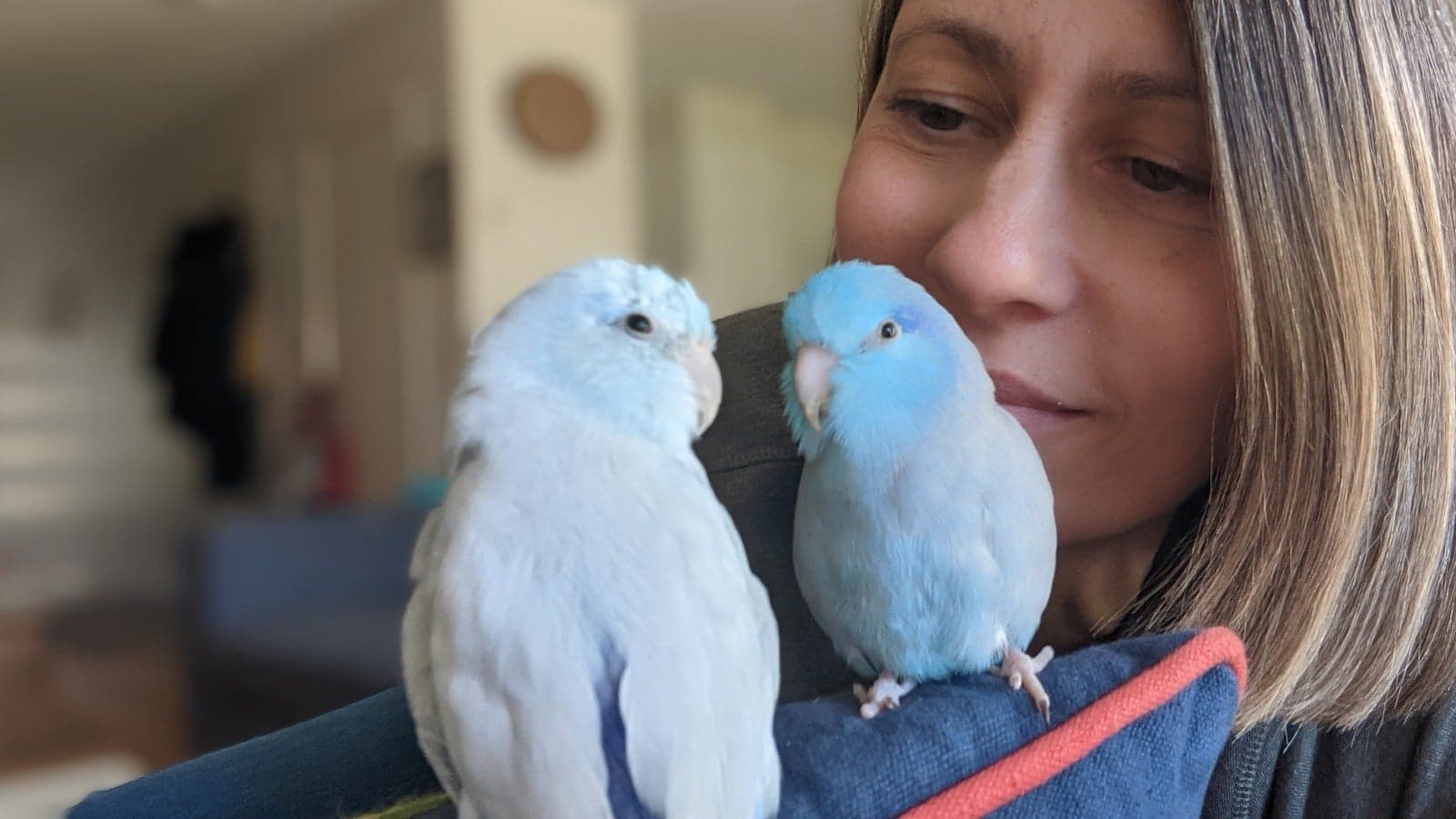 On A Mission To Improve The Lives Of Caged Birds – Helen Seta