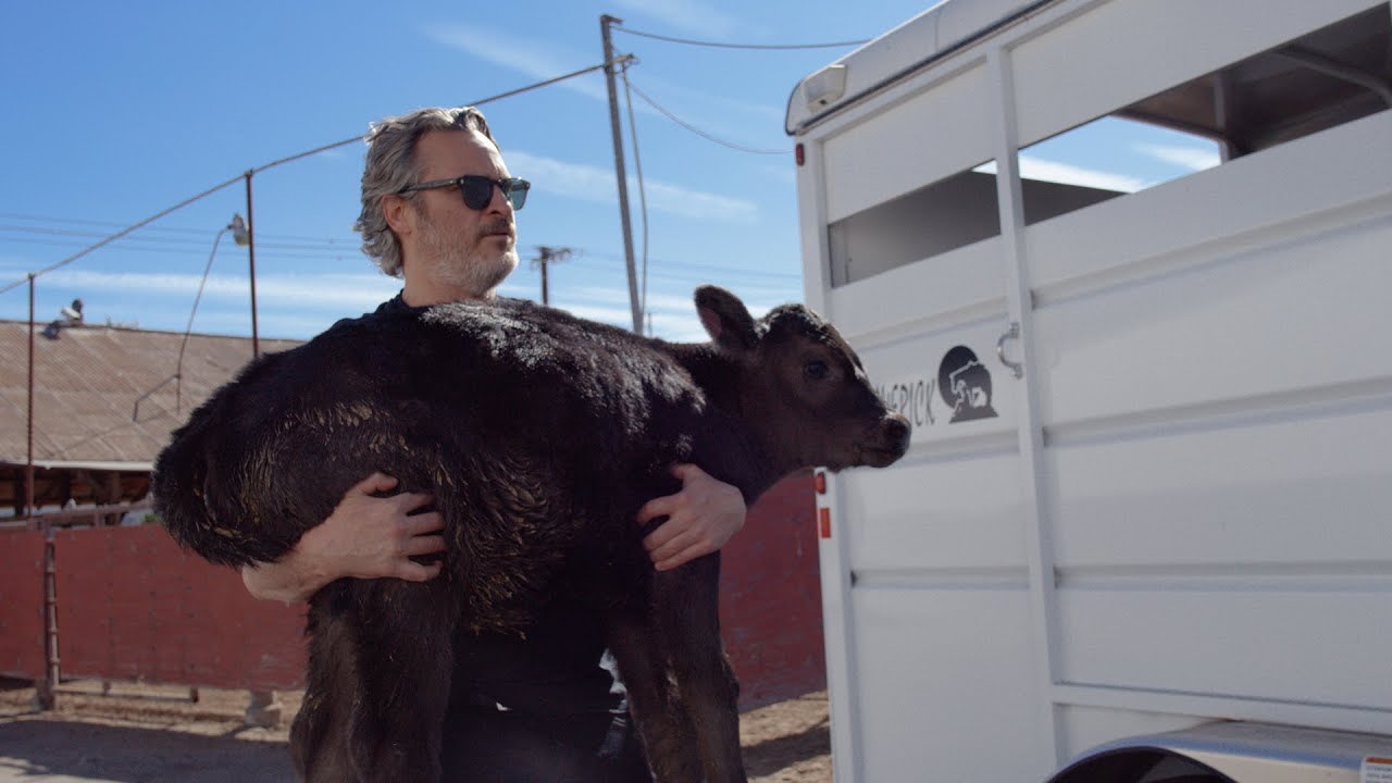Mother’s Day: Nothing To Celebrate For Animals Raised For Food