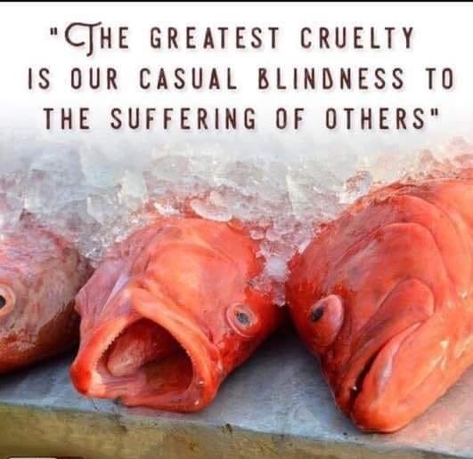 It is time to abolish fishing and fish farming…