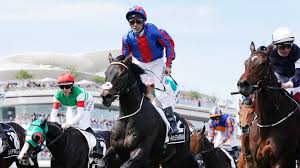 Using the Whip in Thoroughbred Racing – Frequently Asked Questions
