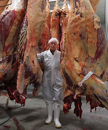 ‘The Root of the Problem is Eating Animals’