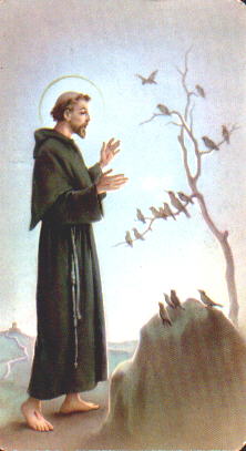 ‘They Will Not Hurt or Destroy on the Holy Mountain’