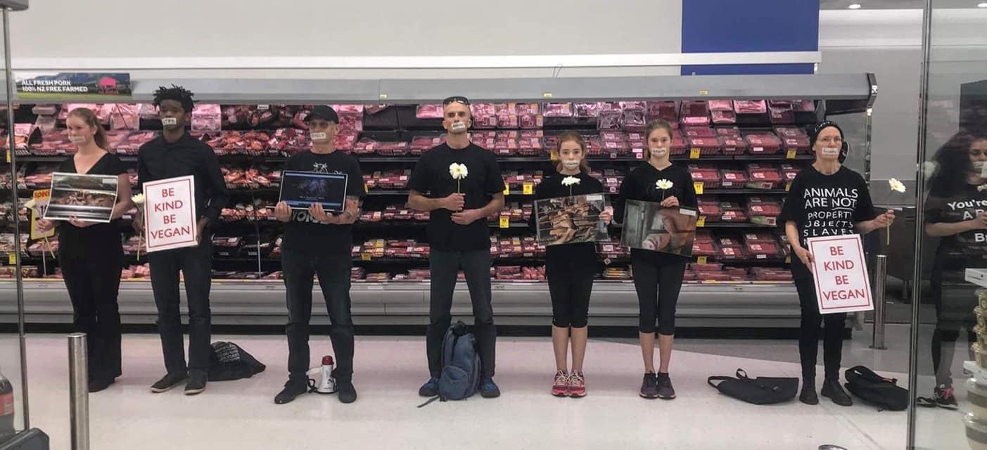 All Hands On Deck For the Animals!