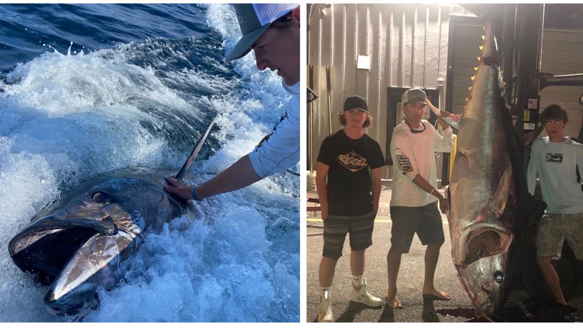 Fishing Is Torture For Sentient Beings