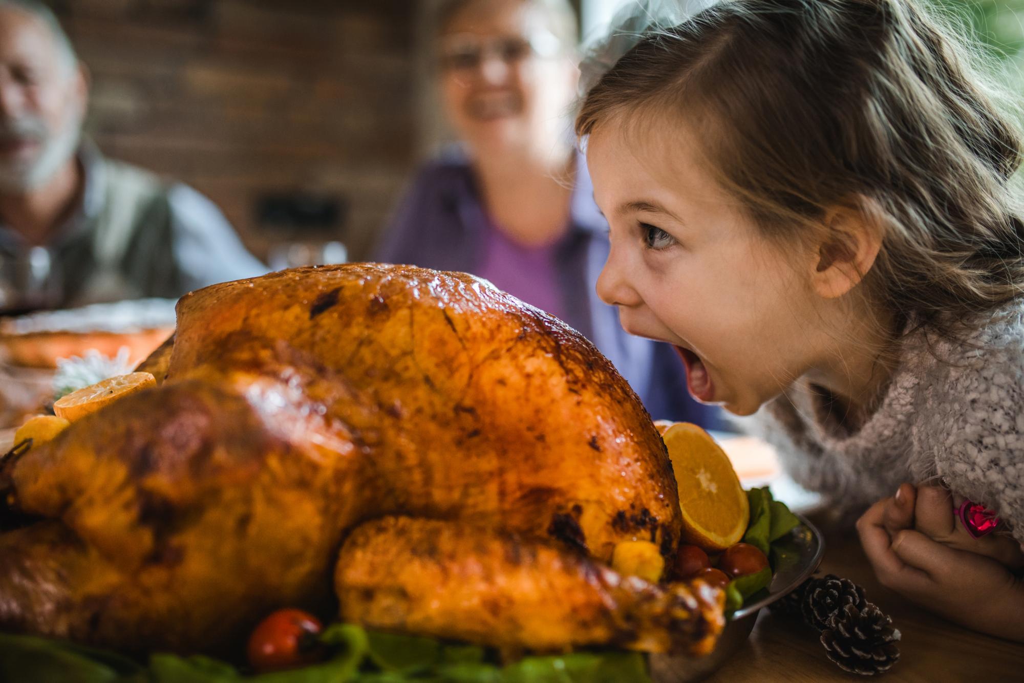 THE DIS-GRACE BEHIND TURKEY FARMING