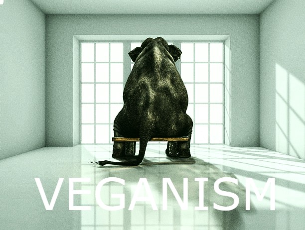 Veganism: The Elephant In The Room